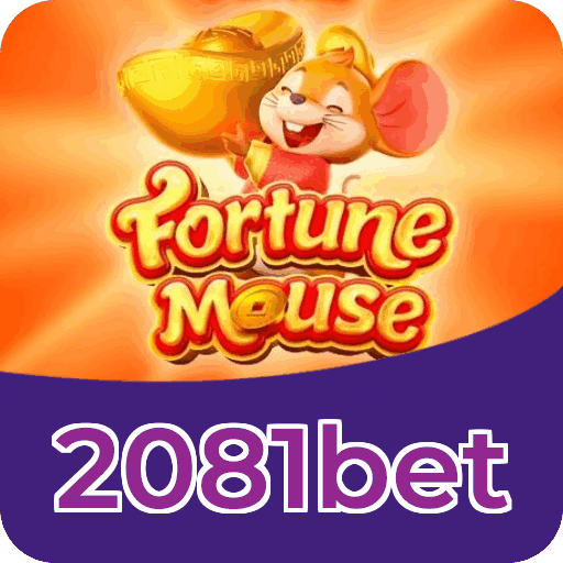 Dealers profissionais da 2081bet